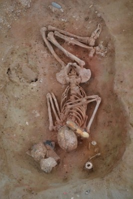 Figure 3. Grave 2. To the right of the skull: Spondylus ring, fire-lighter and antler axe; to the left: decorated vessel; at the foot of the skeleton: adze blade.